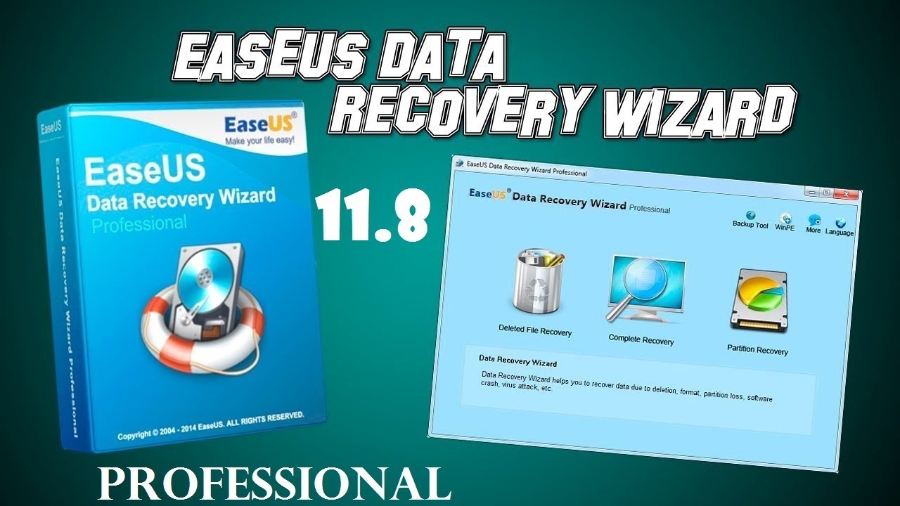easeus data recovery 11.8 license code
